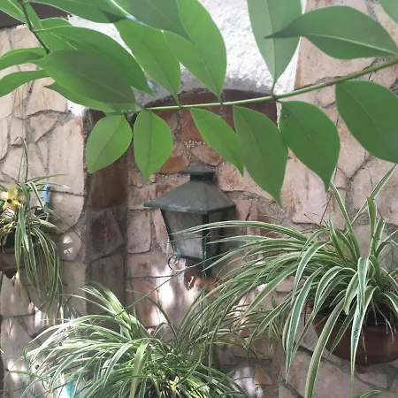 Patio Granada